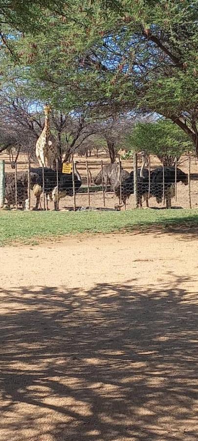 Ombo Rest Camp Hotel Okahandja Buitenkant foto